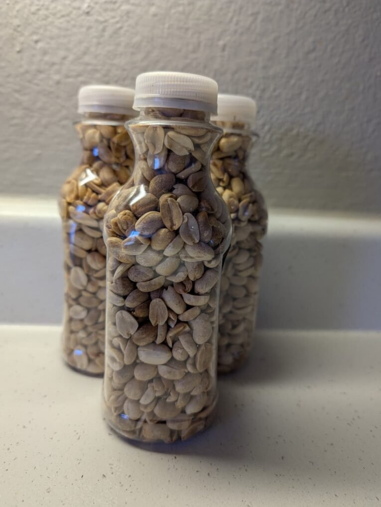 WhatsApp Image 2026-01-19 at 6.34.40 PM