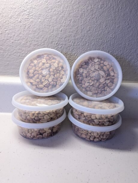 Nigerian Roasted Groundnut